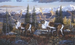 <h5>CARIBOU</h5><p>18 x 30 signed and numbered edition of 75 Giclée Canvas prints Price: $275																																																																																																						</p>