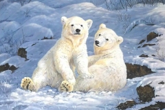UNTAMED SPIRITS Polar Bear