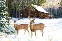 THE SHACK