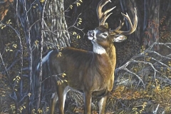 THE LICKING BRANCH