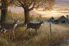 UNKNOWN SANCTUARY