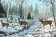WHITETAIL PASSION