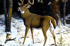 TRUE TROPHY