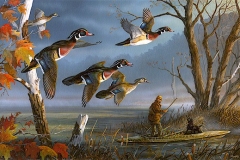 WOODIES ON THE WING
