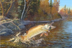 MUSKIE ROCK