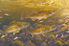 REEF RUNNERS