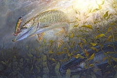 PHANTOM MUSKIE