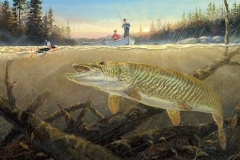 TIMBER TIGER