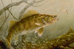 TWILIGHT STRIKE Walleye