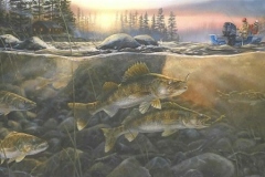 WALLEYES ON THE ROCKS