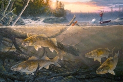 WALLEYE IN THE WOOD