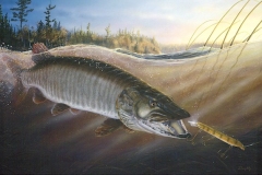 WINDFALL MUSKIE