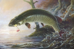 MUSKIE DAWN